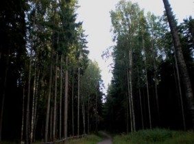 Image_021