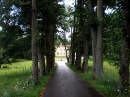 Image_026