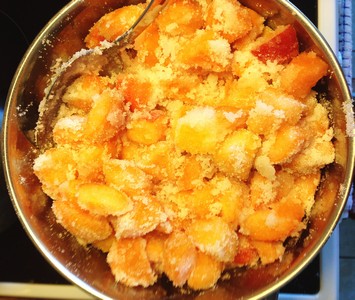 Apricot jam 1 ed
